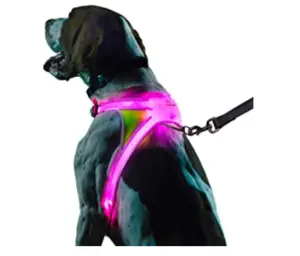 Noxgear Lighthound Dog Harness