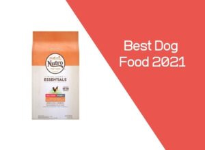 Best Dog Food 2021