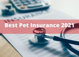 Best Pet Insurance 2021
