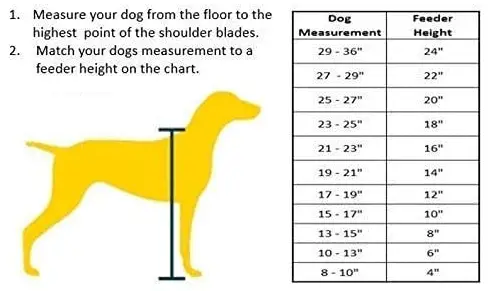 Dog Size Comparison Chart