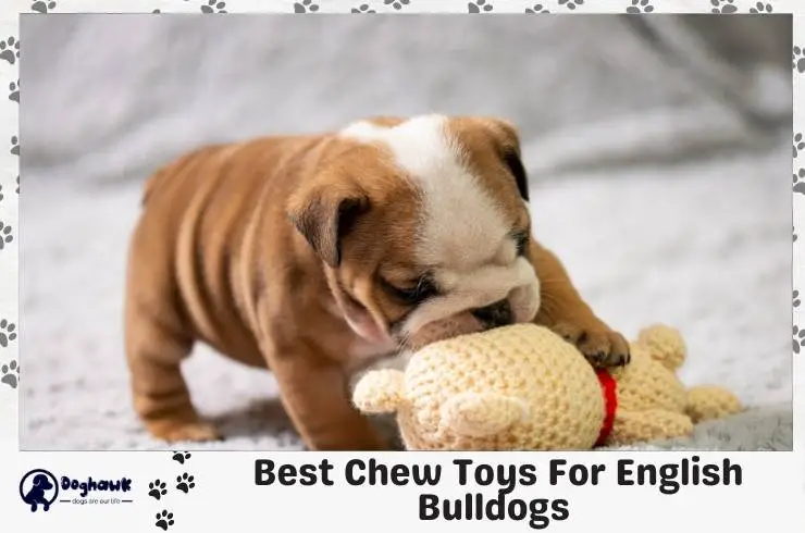 best chew toys for english bulldogs