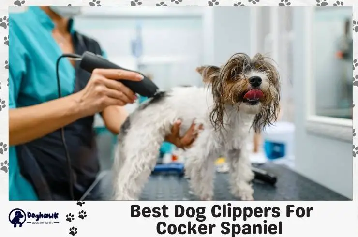 Best Dog Clippers For Cocker Spaniel