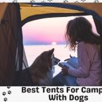 Best Tents For Camping With Dogs