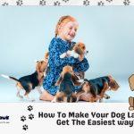 How To Make Your Dog Laugh