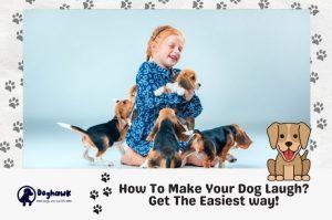How To Make Your Dog Laugh