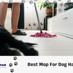 Best Mop For Dog Hair