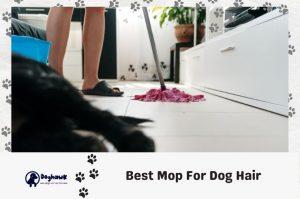 Best Mop For Dog Hair